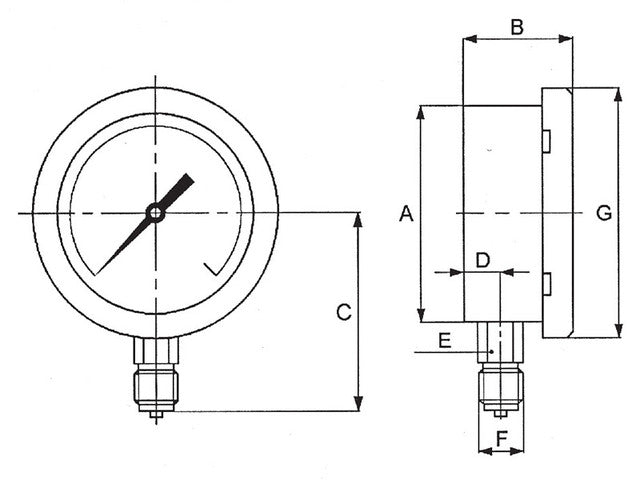Fantinelli stainless industrial pressure gauge real product photo