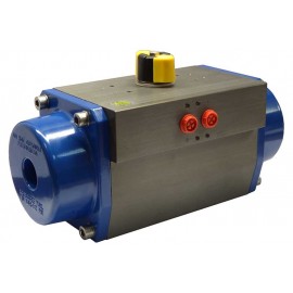 Double Acting Pneumatic Actuator AP 115