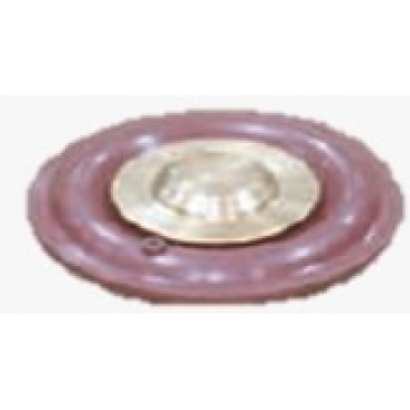 Diaghragm ,Viton , 1" 